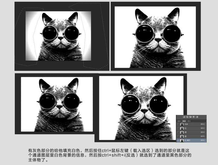 ps巧用通道抠图完美抠出一张戴着眼镜的猫咪图片教程
