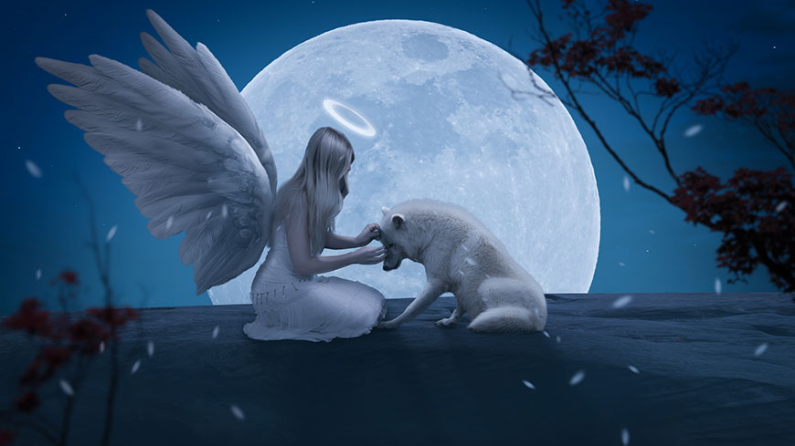 PS合成夜色下温柔的天使少女和野兽的教程